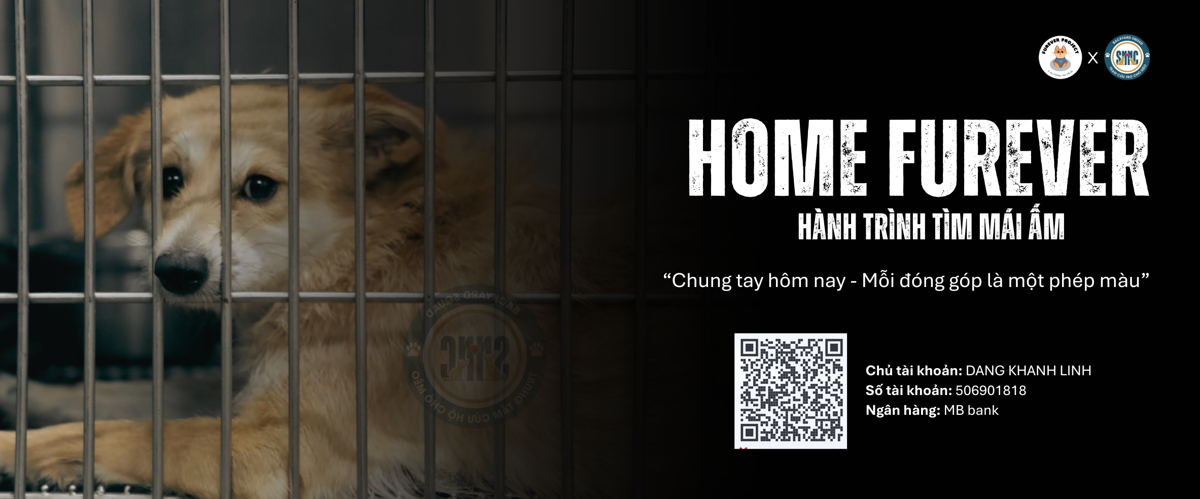Home FurEver