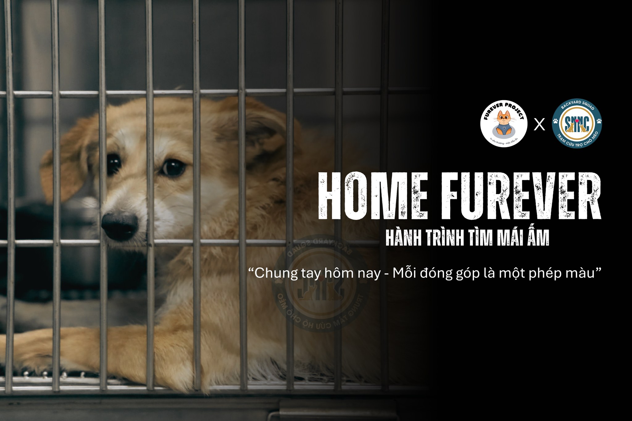 HOME FUREVER - HÀNH TRÌNH TÌM MÁI ẤM